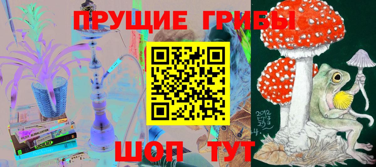 Галлюциногенные грибы прущие грибы Щёлково